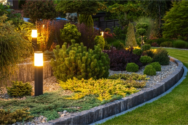 A landscape garden highlighted with lighting features