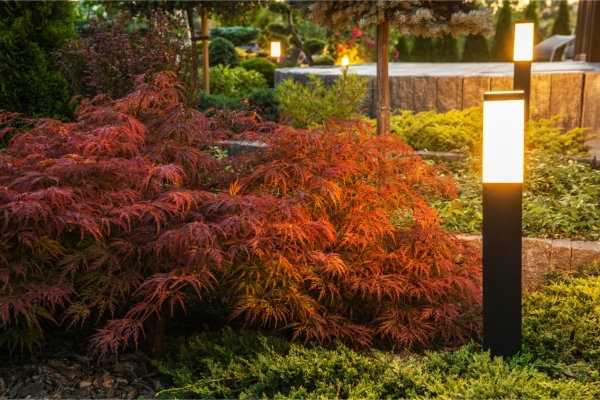 Smart daylight sensing lighting highlighting landscape features