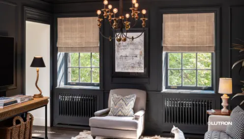 Elegant living room with dark walls, Roman shades, modern decor, chandelier lighting, and a white cat sitting by the window.