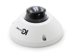IC Realtime IPEL-F50F-W2 5MP 360° Camera - AI-Powered Detection and Night Vision